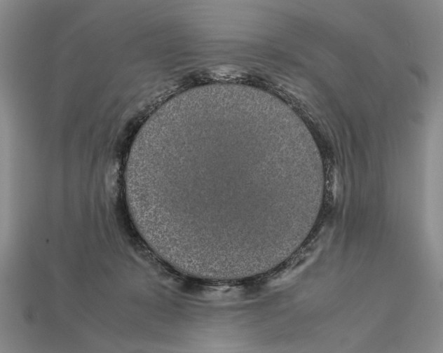 X0000113040319200909241440