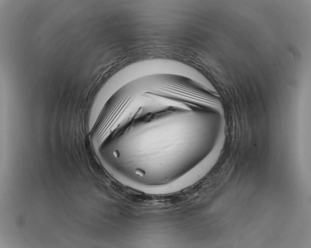 X0000113040320200909241440