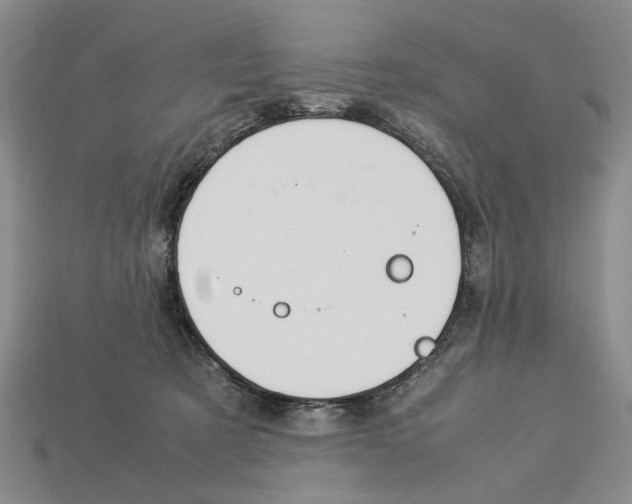 X0000113040321200909241440