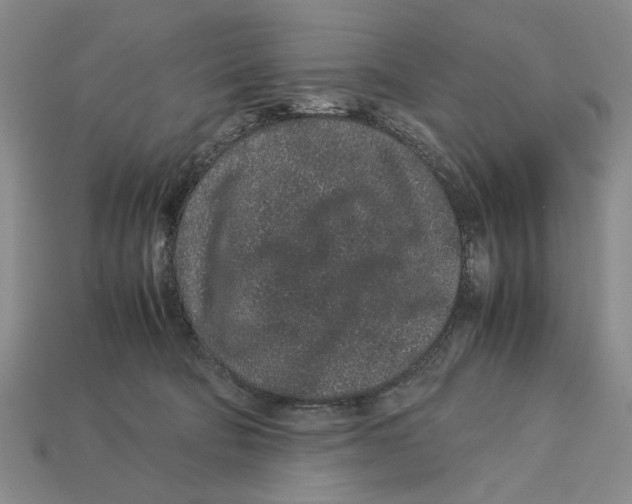 X0000113040322200909241440