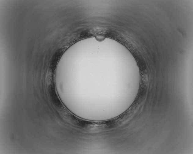 X0000113040323200909241440