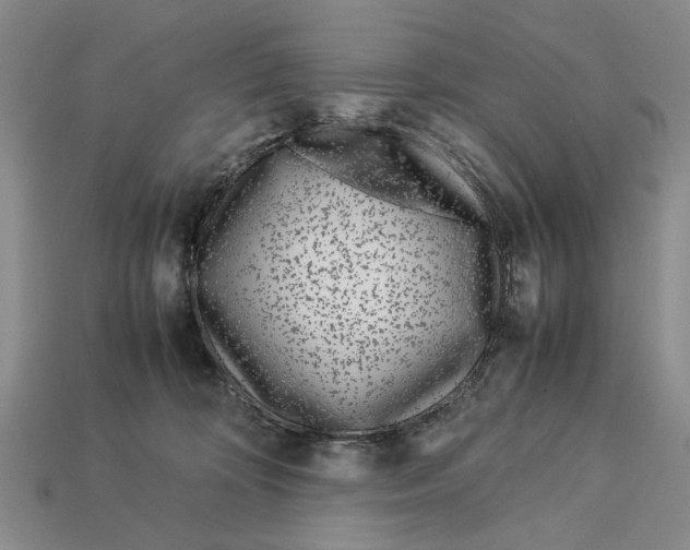 X0000113040324200909241440