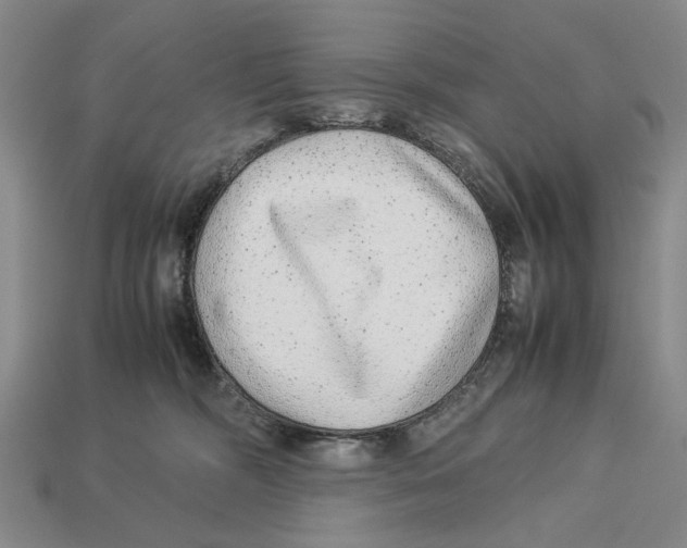 X0000113040326200909241440