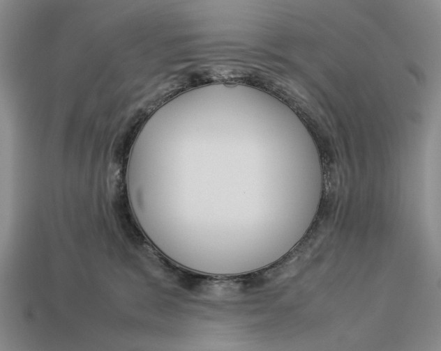 X0000113040327200909241440