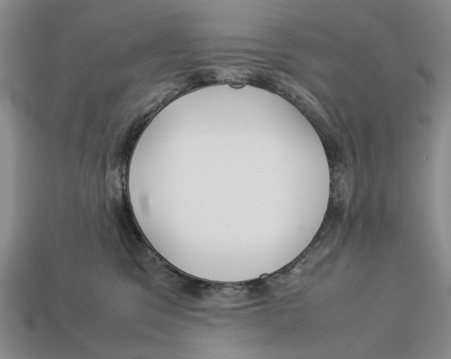 X0000113040329200909241440