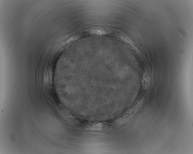 X0000113040330200909241440