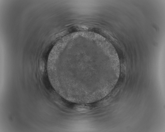 X0000113040331200909241439