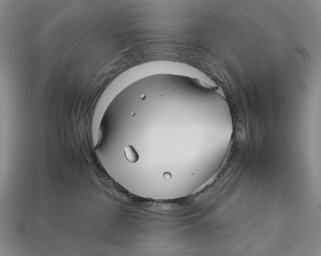X0000113040332200909241439