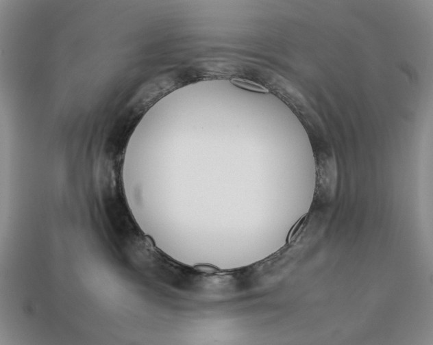 X0000113040333200909241439