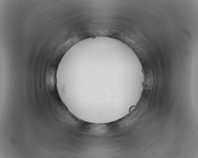 X0000113040334200909241439