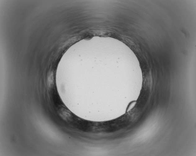 X0000113040335200909241439