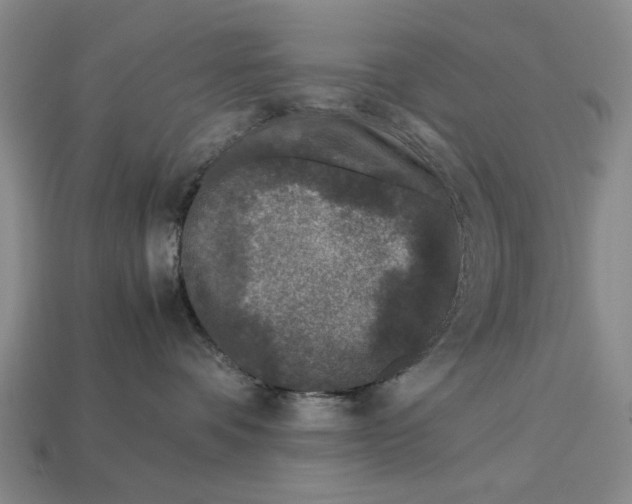 X0000113040336200909241439