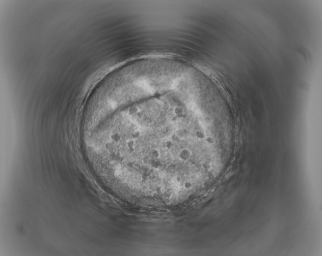 X0000113040337200909241439