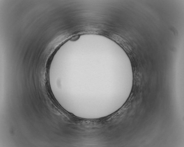 X0000113040338200909241439