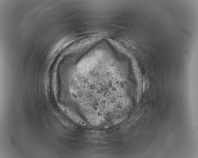 X0000113040339200909241439