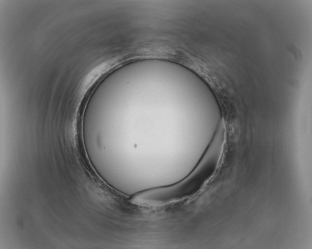 X0000113040340200909241439
