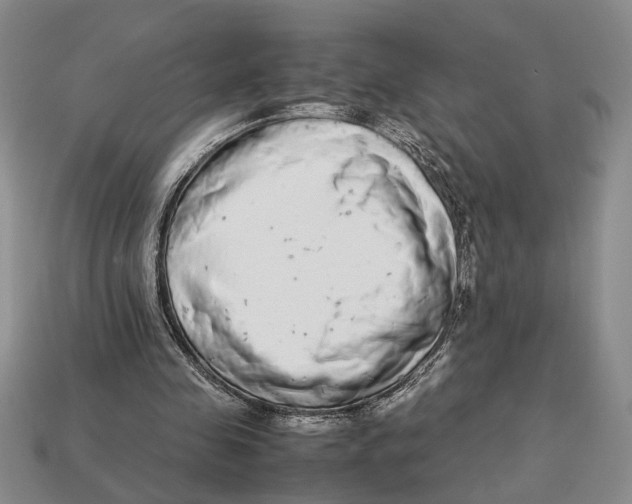 X0000113040341200909241439