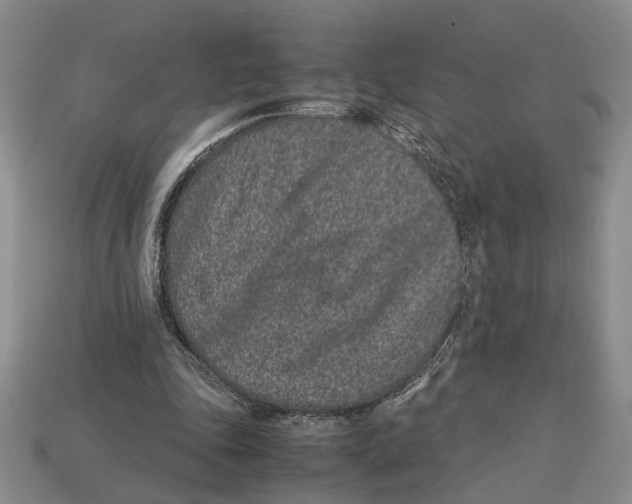 X0000113040343200909241439