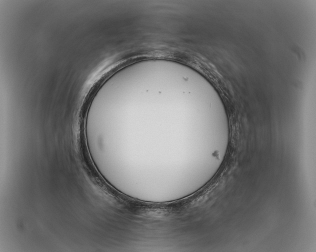 X0000113040344200909241439