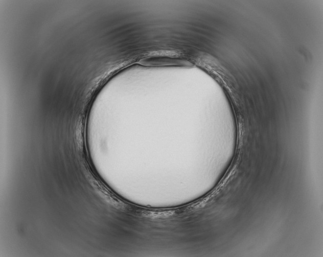 X0000113040345200909241439