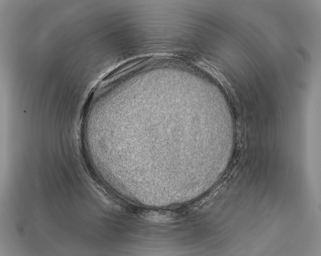 X0000113040346200909241439