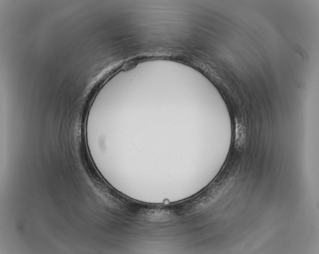 X0000113040348200909241439