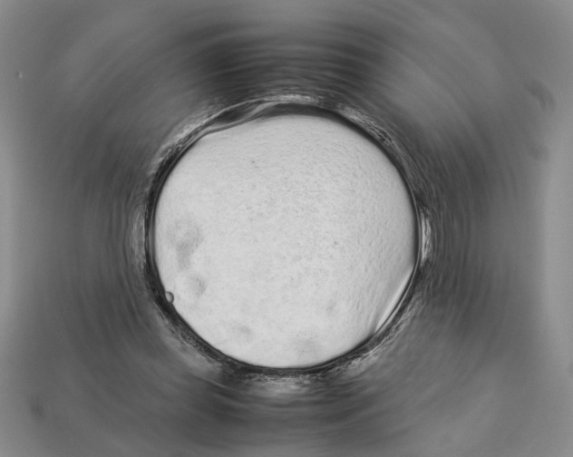 X0000113040349200909241439
