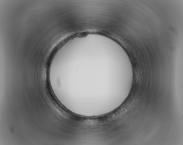X0000113040350200909241439