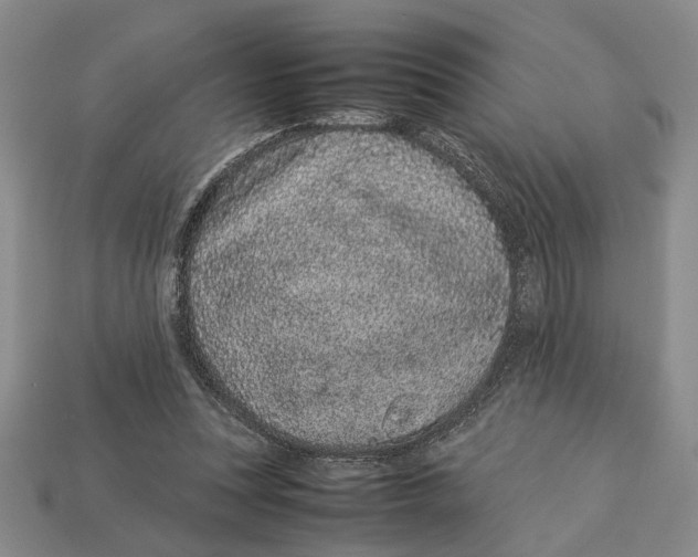 X0000113040351200909241439