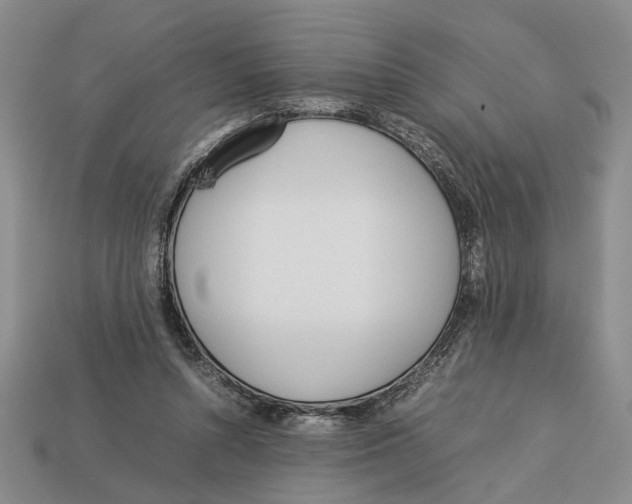 X0000113040352200909241439