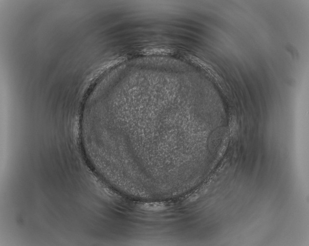 X0000113040353200909241439