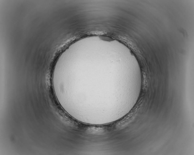 X0000113040354200909241439