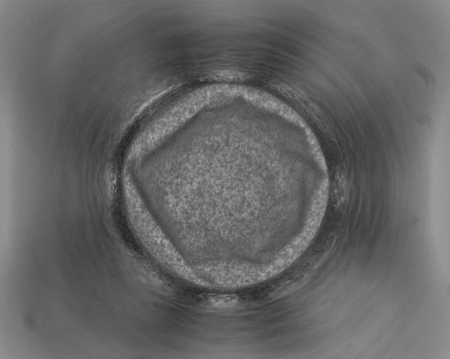 X0000113040355200909241439