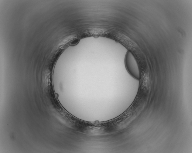X0000113040356200909241439