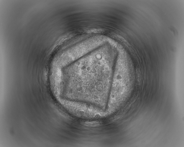 X0000113040357200909241439