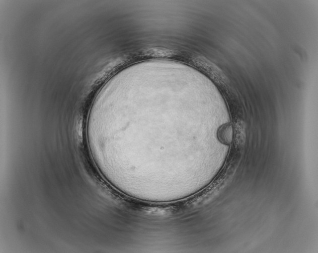 X0000113040358200909241439