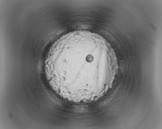 X0000113040359200909241439