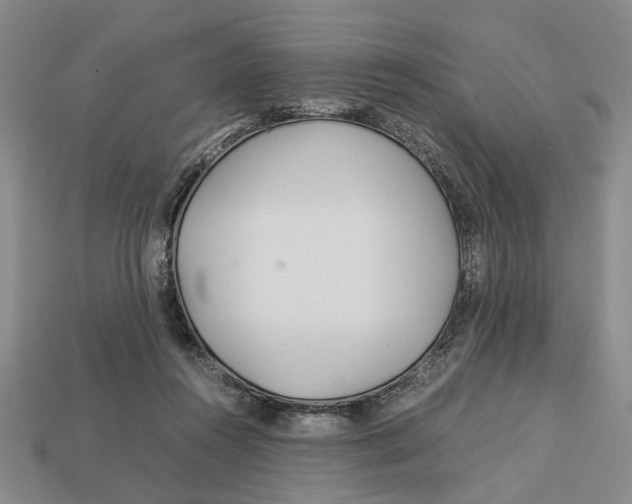X0000113040360200909241439