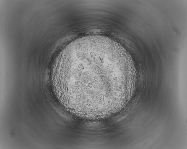 X0000113040361200909241439