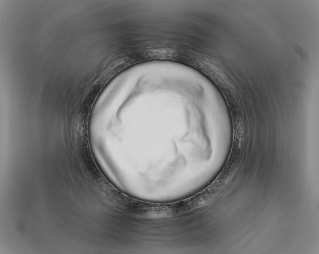 X0000113040363200909241439