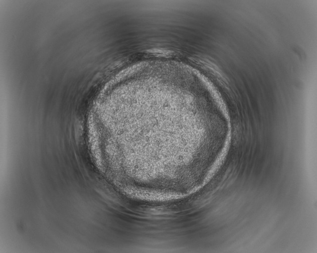X0000113040365200909241439