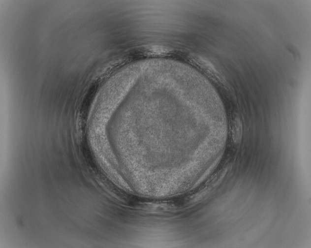 X0000113040366200909241439