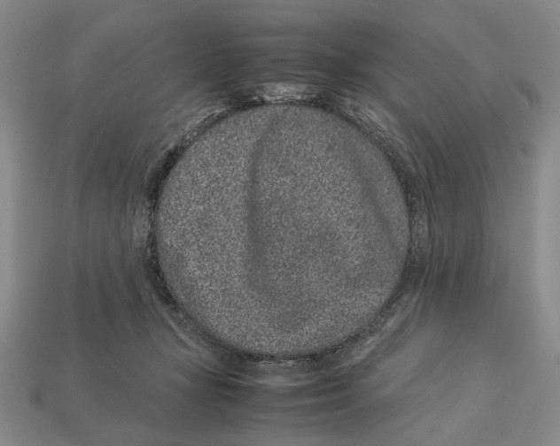 X0000113040367200909241439