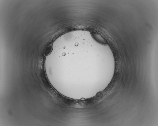 X0000113040368200909241439