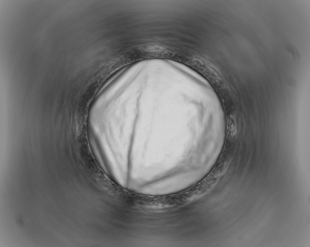 X0000113040369200909241439