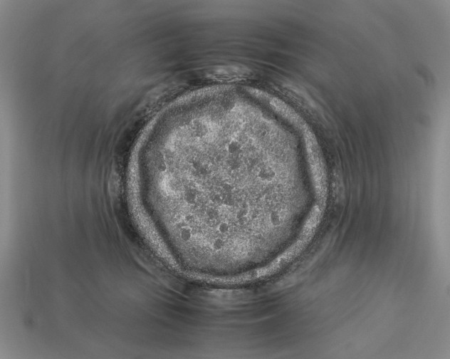 X0000113040371200909241439