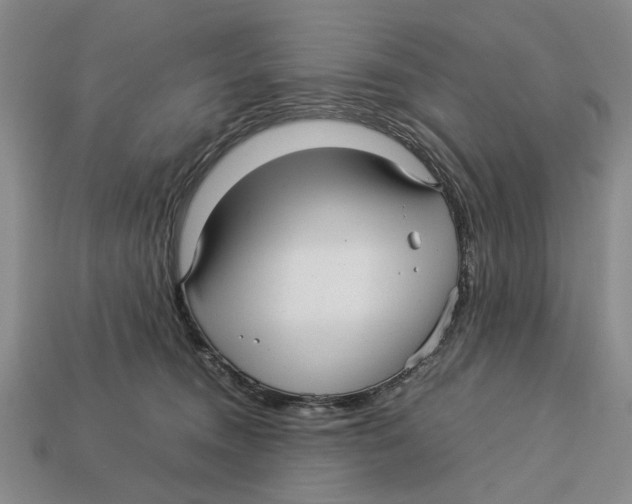 X0000113040372200909241439