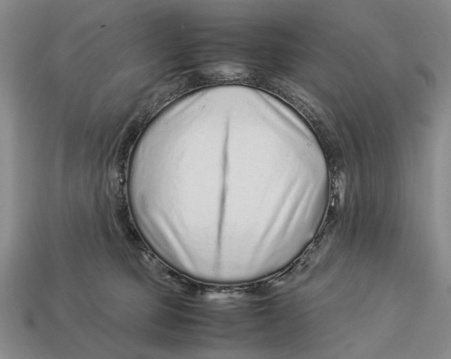 X0000113040373200909241439