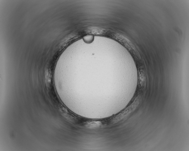 X0000113040374200909241439