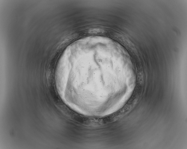 X0000113040375200909241439